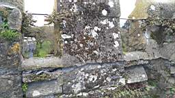 acastle
                          111215.jpg